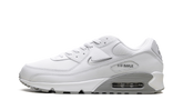 Air Max 90 "Jewel Light Smoke Grey" FN8005 100