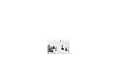 Double Card Holder "White" M14864
