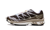 XT-6 "Earth Brown Walnut" L49209900