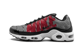 Air Max Plus TN SE "Striped" AT0040 001