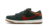 Dunk Low Pro SB 304292 362
