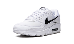 AIR MAX 90 NN MNS WMNS"White/Black" DH8010 101