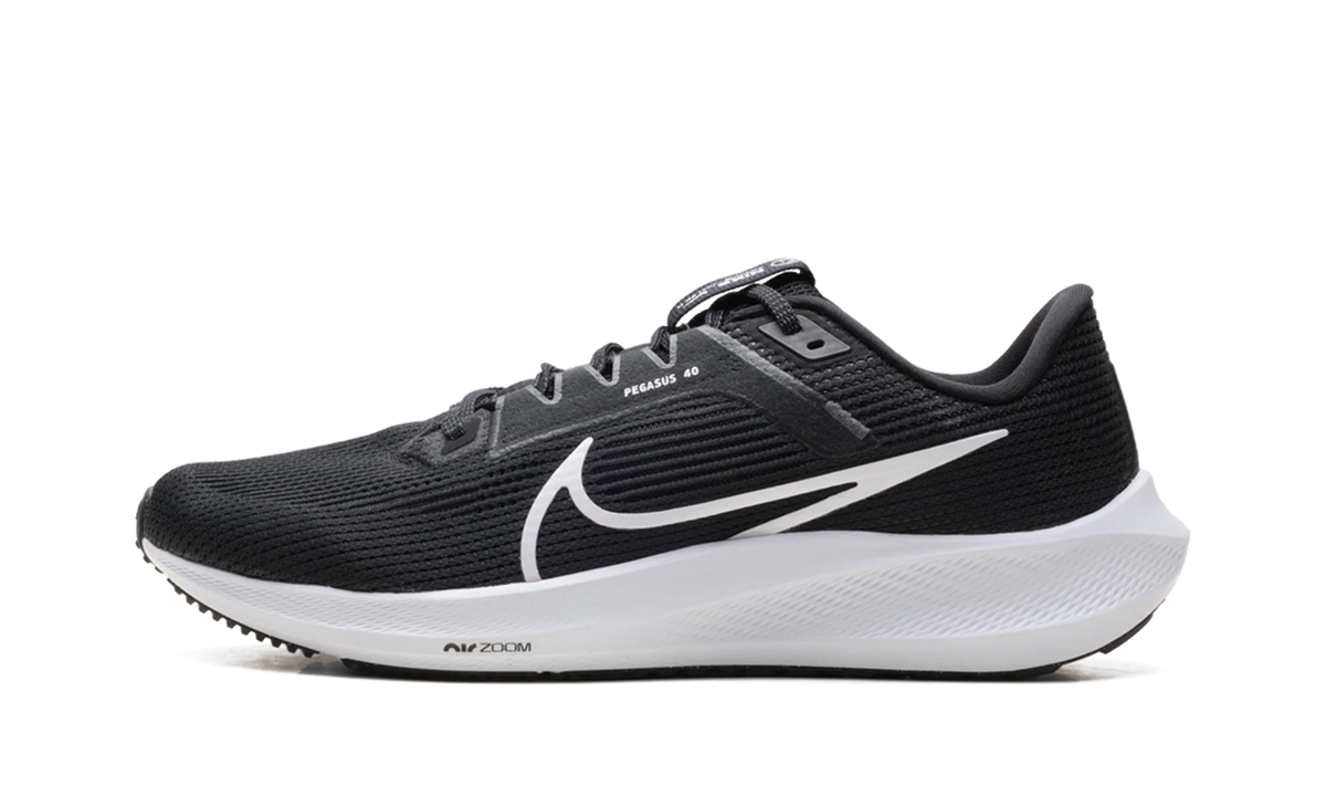 Air Zoom Pegasus 40 Wmns"Black" DV3854 001
