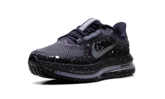 Pegasus Premium SE WMNS"Cave Purple" IH0861 500