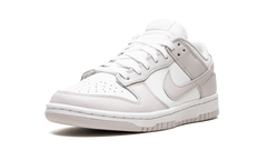 DUNK LO MNS WMNS"Venice" DD1503 116